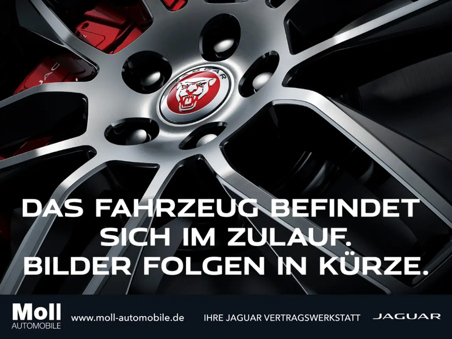 Jaguar F-Pace R-Dynamic SE AWD 90th Ed. AHK-el. klappb. El. Fond Grau - 1