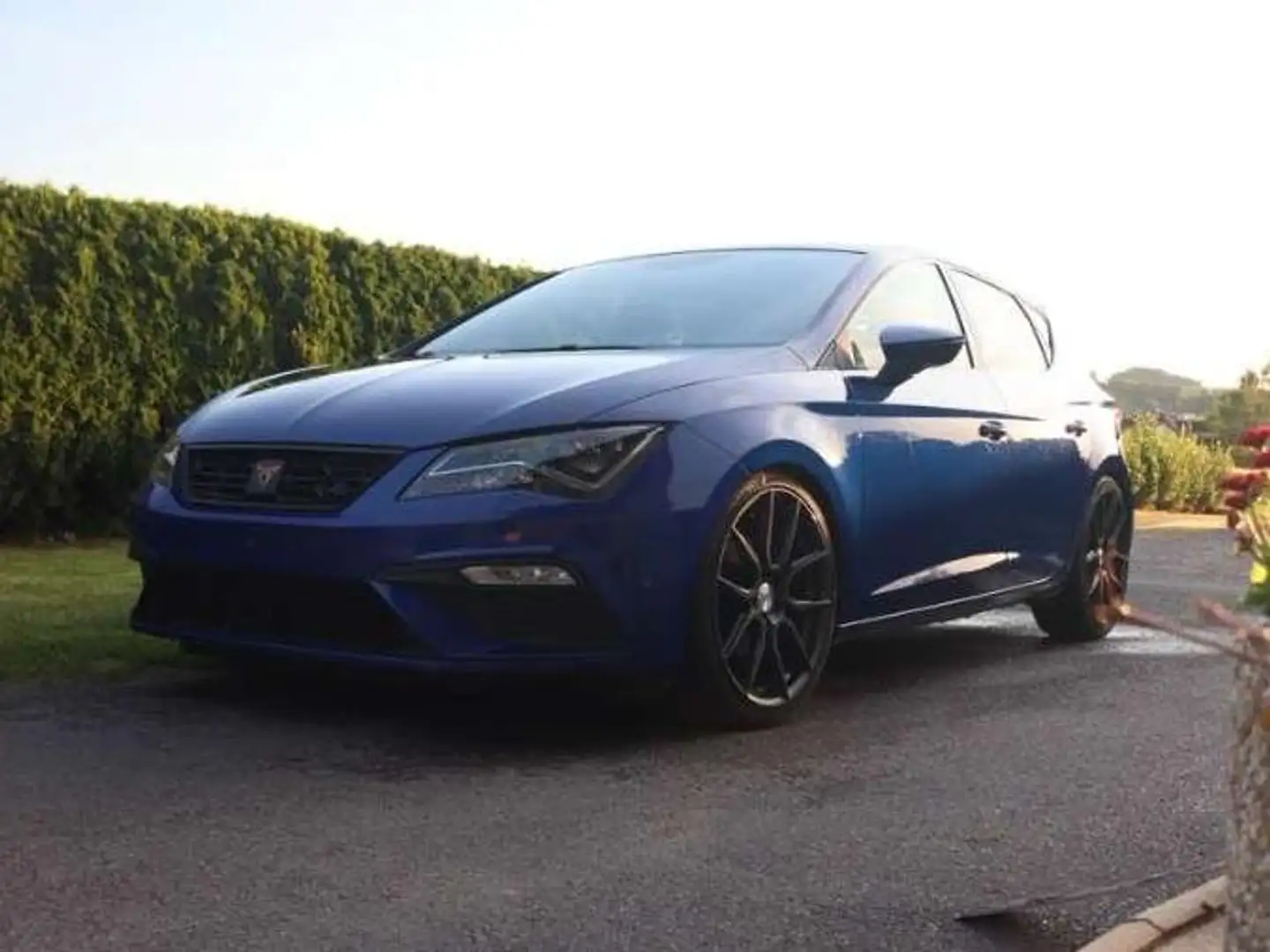 SEAT Leon Leon FR 1,5 TGI FR Blau - 2