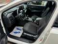 Nissan Qashqai N-Connecta / LED / Keyless / 360° Kamera Blanco - thumbnail 8