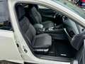 Nissan Qashqai N-Connecta / LED / Keyless / 360° Kamera Blanco - thumbnail 23