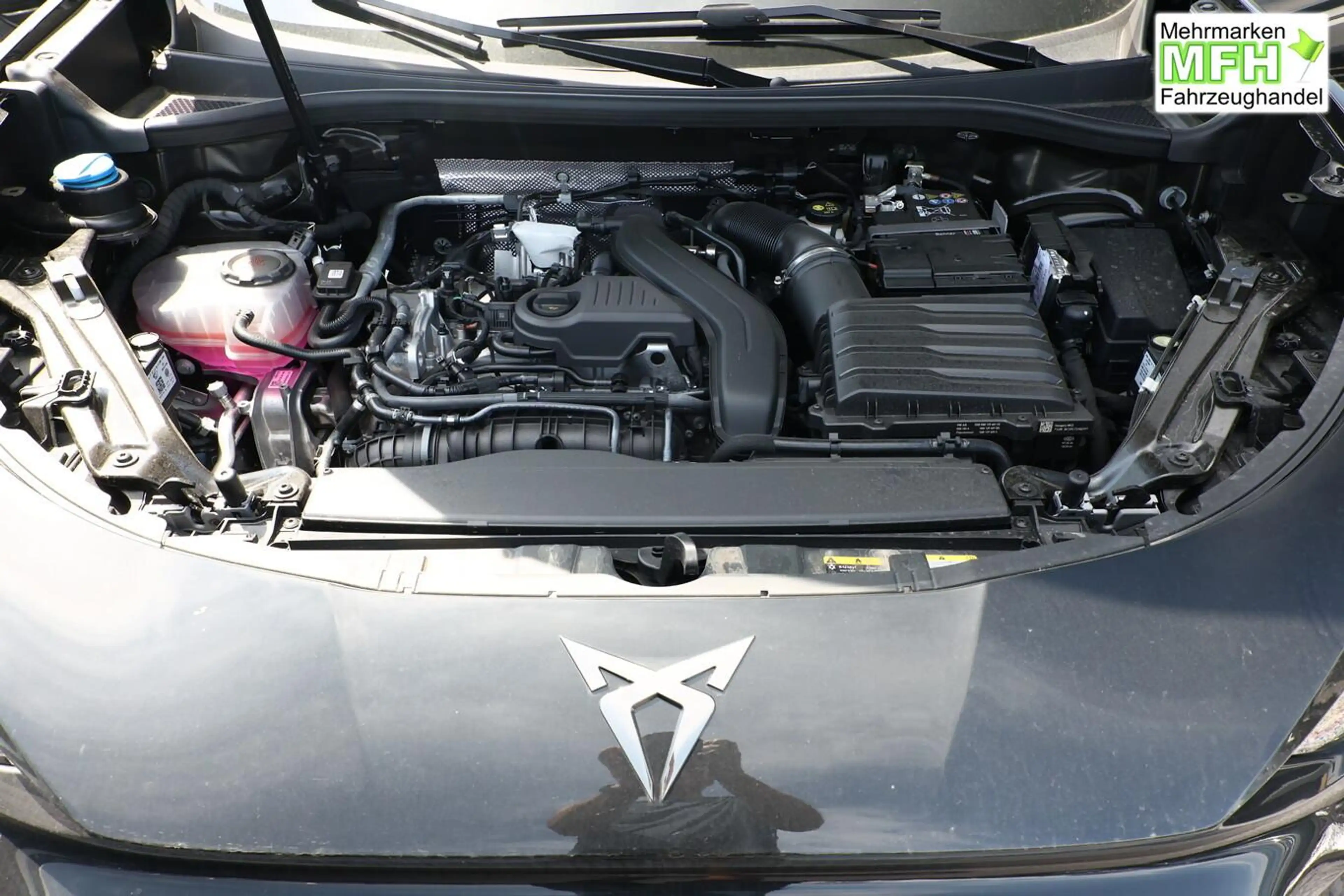 CUPRA Terramar Tribe Edition DSG HeadUp 360° Sennh el.Hk ParkA... — photo 11