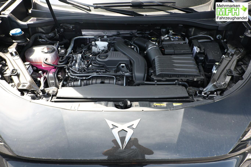 CUPRA Terramar Tribe Edition DSG HeadUp 360° Sennh el.Hk ParkA... — photo 11