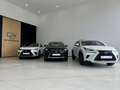 Lexus NX 300 300h Business Navigation 2WD Gris - thumbnail 3