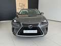 Lexus NX 300 300h Business Navigation 2WD Gris - thumbnail 11
