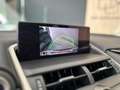 Lexus NX 300 300h Business Navigation 2WD Gris - thumbnail 14