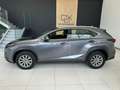 Lexus NX 300 300h Business Navigation 2WD Gris - thumbnail 4