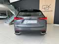 Lexus NX 300 300h Business Navigation 2WD Gris - thumbnail 5