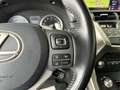 Lexus NX 300 300h Business Navigation 2WD Gris - thumbnail 20