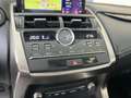 Lexus NX 300 300h Business Navigation 2WD Gris - thumbnail 18