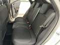 Ford Puma 1.0 Ecoboost 125 CV Titanium Bianco - thumbnail 10