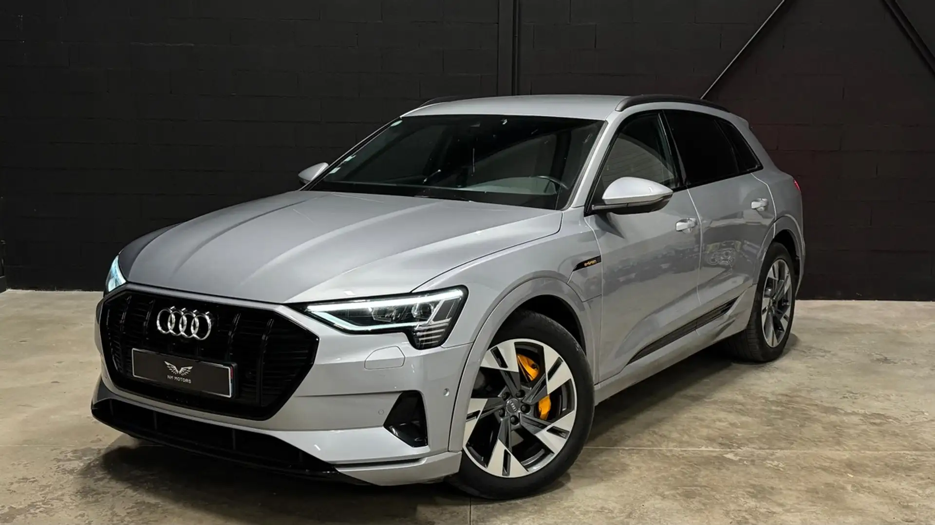 Audi e-tron 50 Quattro AVUS 313 CV Gris - 1