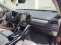 Renault Koleos Koleos 2.0dCi Blue Initiale Paris X-Tronic 4x4 140kW Initiale Paris Rojo - thumbnail 12