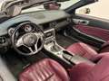 Mercedes-Benz SLK 250 CDI BlueEFFICIENCY Sport Bílá - thumbnail 6
