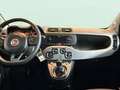 Fiat Panda City Life Hybrid 1.0 Gse 51kw (70CV) Blanco - thumbnail 14