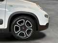 Fiat Panda City Life Hybrid 1.0 Gse 51kw (70CV) Blanco - thumbnail 10