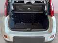 Fiat Panda City Life Hybrid 1.0 Gse 51kw (70CV) Blanco - thumbnail 7