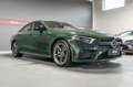 Mercedes-Benz CLS 53 AMG 4Matic designo Lack - Schiebedach BRD Grün - thumbnail 6
