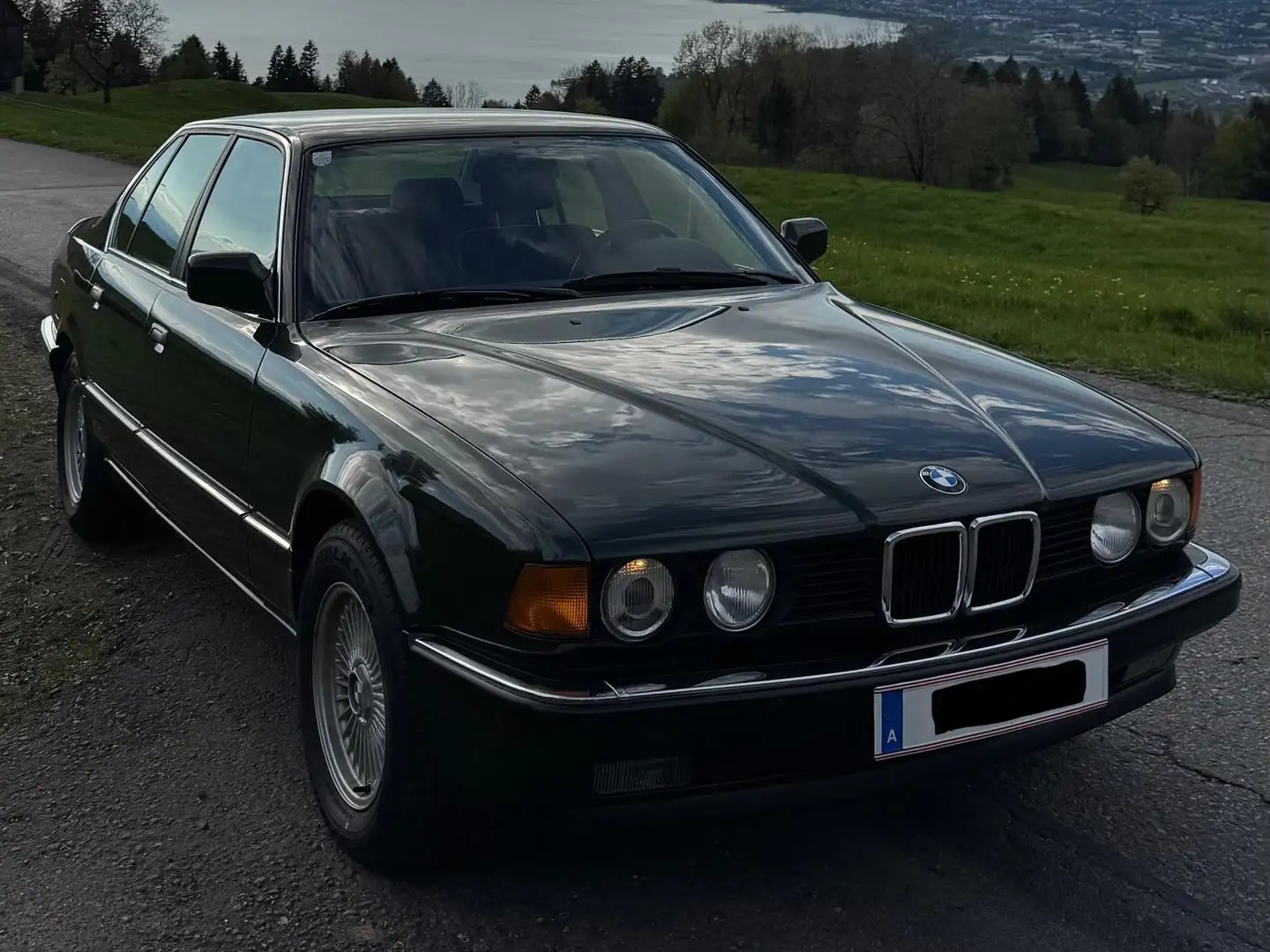 BMW 730 730i Grün - 1