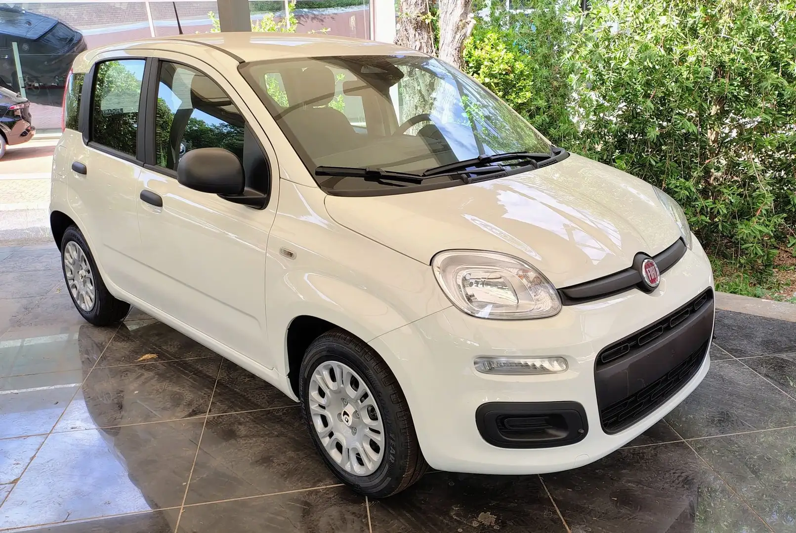 Fiat Panda Panda 1.0 FireFly S&S Hybrid Bianco - 1