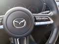 Mazda CX-30 Selection AWD AHK HUD Panodach Navi Leder Memory S Blau - thumbnail 11