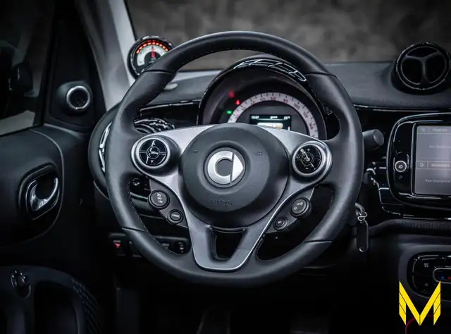 Smart Fortwo view 15