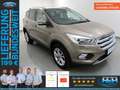 Ford Kuga 1.5 EcoB Titanium AHK+Kamera+Keyfree+SHZ Silver - thumbnail 1