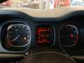Fiat Panda 1.0 70 Cv firefly hybrid Cross CarPlay Sensori 5 P Blanc - thumbnail 16