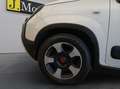 Fiat Panda 1.0 70 Cv firefly hybrid Cross CarPlay Sensori 5 P Blanc - thumbnail 21