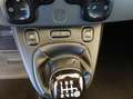 Fiat Panda 1.0 70 Cv firefly hybrid Cross CarPlay Sensori 5 P Blanc - thumbnail 20
