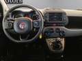 Fiat Panda 1.0 70 Cv firefly hybrid Cross CarPlay Sensori 5 P Blanc - thumbnail 13