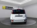 Fiat Panda 1.0 70 Cv firefly hybrid Cross CarPlay Sensori 5 P Blanc - thumbnail 4