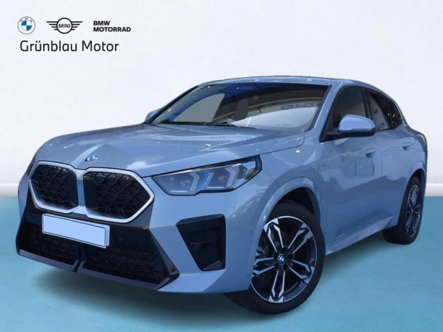 BMW X2 sDrive 20iA Gris - 1