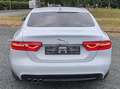 Jaguar XE XE 20d AWD Aut. Prestige Weiß - thumbnail 4