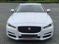Jaguar XE XE 20d AWD Aut. Prestige Weiß - thumbnail 2