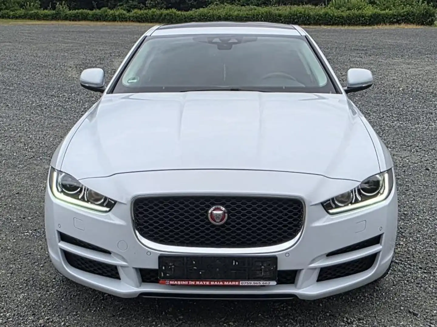 Jaguar XE XE 20d AWD Aut. Prestige Weiß - 2