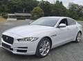 Jaguar XE XE 20d AWD Aut. Prestige Weiß - thumbnail 3