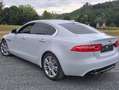 Jaguar XE XE 20d AWD Aut. Prestige Weiß - thumbnail 5