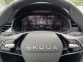 Skoda Kamiq Kamiq 1.0 TSI Selection Zilver - thumbnail 10