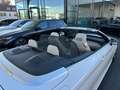 Mercedes-Benz C 180 Cabriolet AMG Line | Airscarf | Aircap Weiß - thumbnail 9