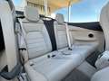 Mercedes-Benz C 180 Cabriolet AMG Line | Airscarf | Aircap Weiß - thumbnail 17