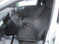 Ford Puma Puma 1.0 EcoBoost mHEV ST-Line X  !!! 20000km !!!! Blanc - thumbnail 12