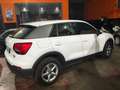 Audi Q2 Q2 I 2017 30 1.0 tfsi Bianco - thumbnail 6