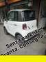 Casalini Sonstige - thumbnail 1