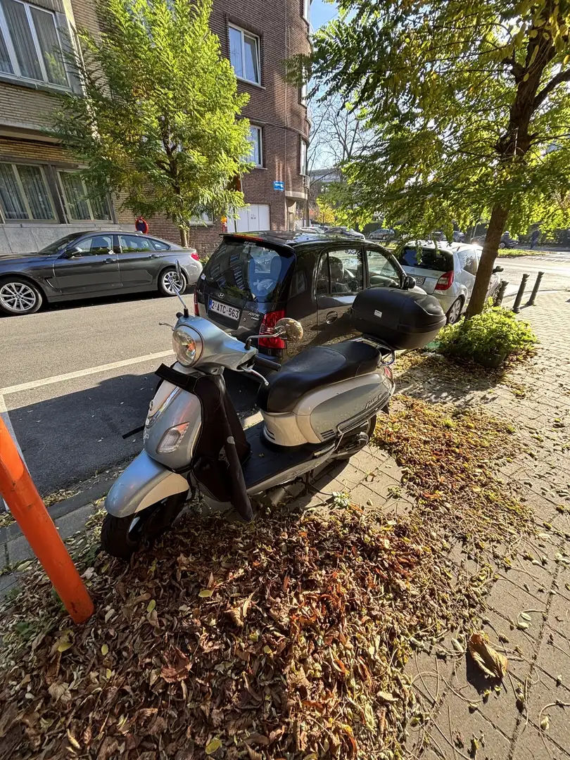 SYM Fiddle 50 III Niebieski - 2