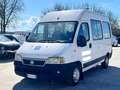 Fiat Ducato 2.3 JTD 9 posti - trasporto disabili / anziani - Bílá - thumbnail 3