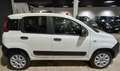 Fiat Panda 0.9 TwinAir Turbo S&S 4x4 Pop Van 2 posti Bianco - thumbnail 4