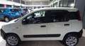Fiat Panda 0.9 TwinAir Turbo S&S 4x4 Pop Van 2 posti Bianco - thumbnail 3