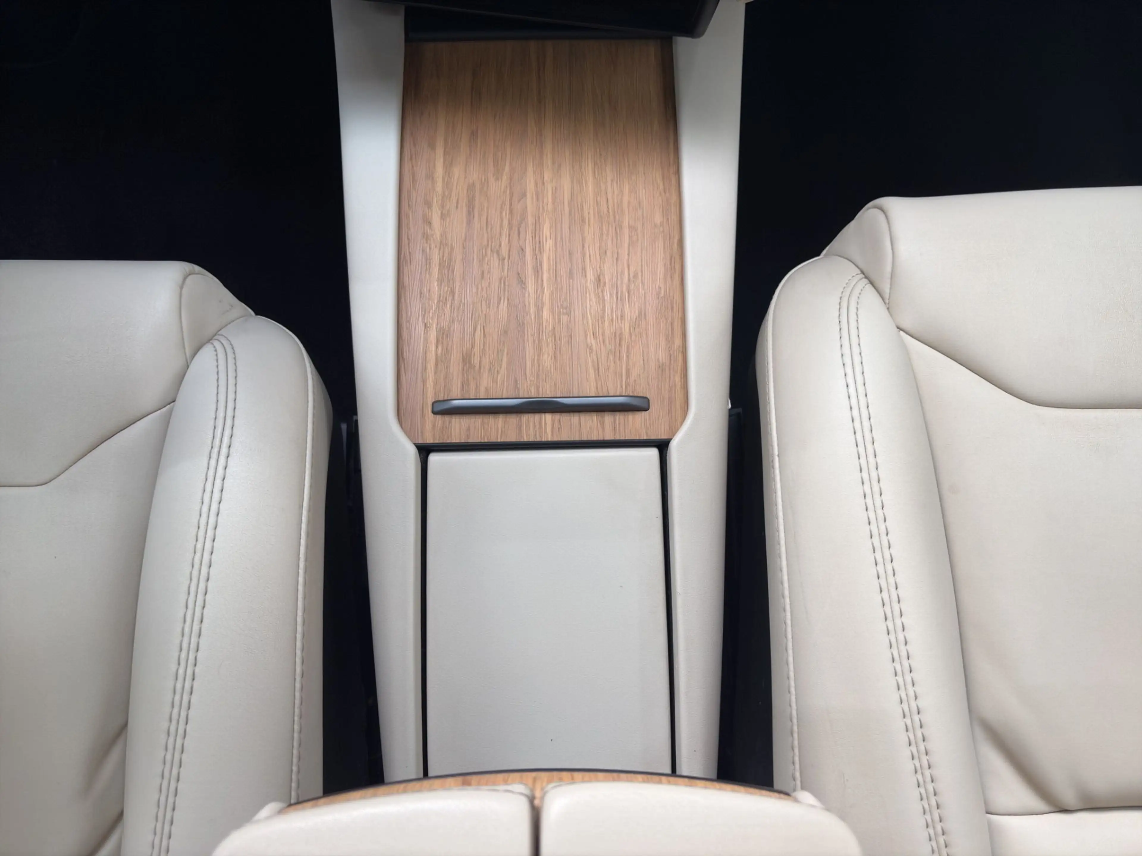 Tesla Model X Dual 100D *Anhängerkupplung*Cold-Weather-Package* — photo 13