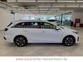 Kia Ceed / cee'd Sportswagon Plug-in Hybr Weiß - thumbnail 8