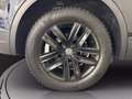 Volkswagen Touareg 3.0 v6 tdi advanced 231cv tiptronic Noir - thumbnail 13